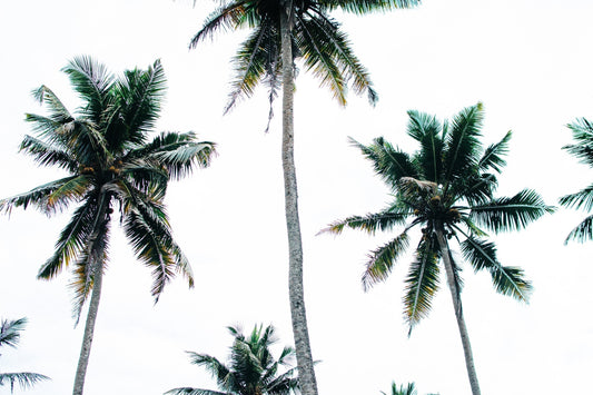 The 12 Best Beaches In Sri Lanka