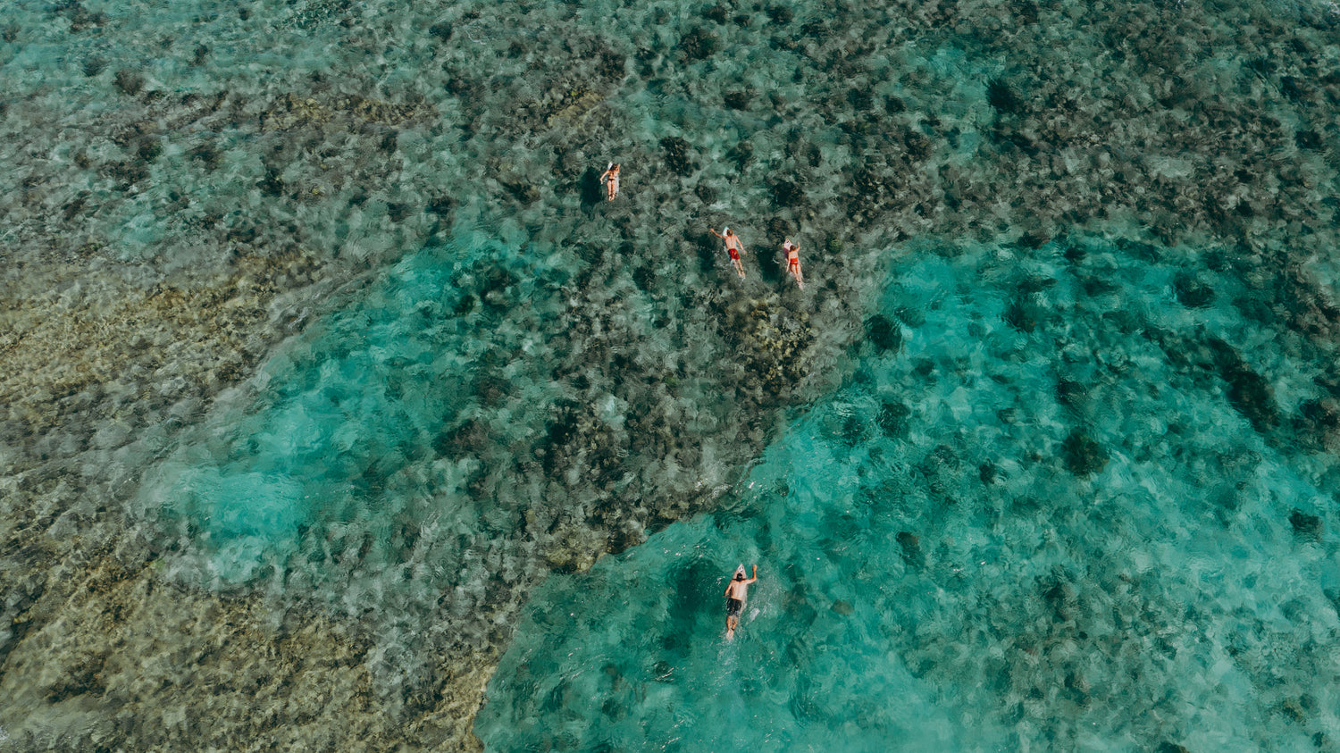 An aerial view of crystal-clear turquoise waters with four swimmers floating above a coral reef.