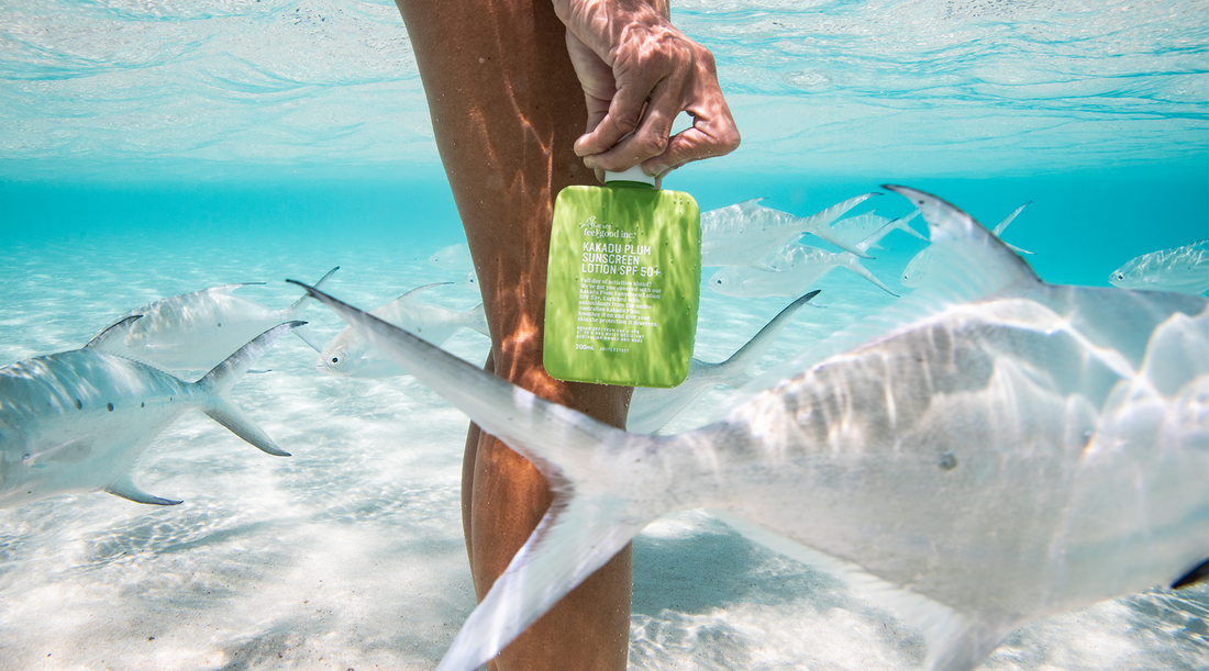 Introducing Kakadu Plum SPF 50+