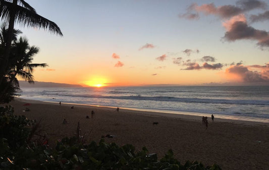 Intense Hawaii - We Are Feel Good Inc.