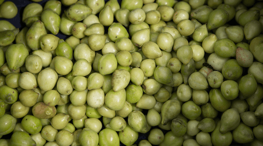 Kakadu Plum Skin Care & Why We Love it - We Are Feel Good Inc.