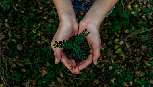 Are You Recycling? Here's How To Get Started!