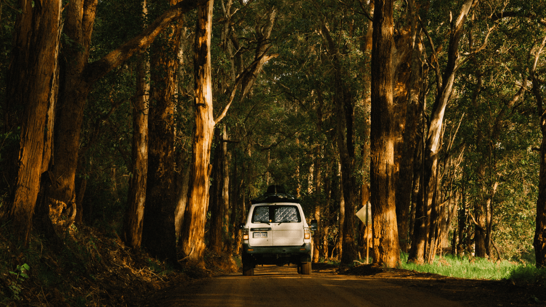 Rainbow Coast Getaway - We Are Feel Good Inc.