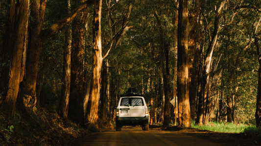 Rainbow Coast Getaway - We Are Feel Good Inc.