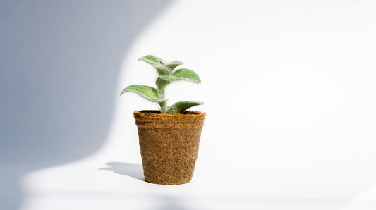 Recycle To Be A Part Of The Change And Help #SPREADTHEFEELGOOD - We Are Feel Good Inc.