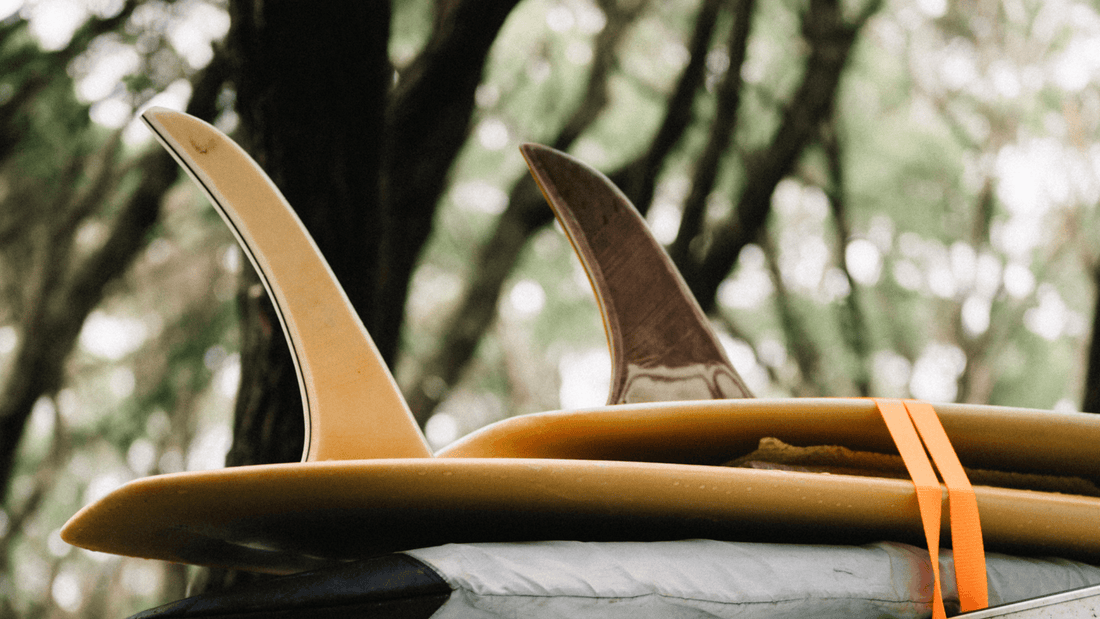 Surfing Down South - We Are Feel Good Inc.